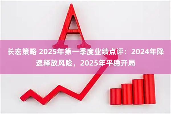 长宏策略 2025年第一季度业绩点评：2024年降速释放风险，2025年平稳开局