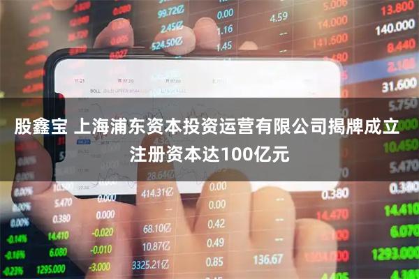股鑫宝 上海浦东资本投资运营有限公司揭牌成立 注册资本达100亿元