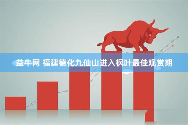 益牛网 福建德化九仙山进入枫叶最佳观赏期