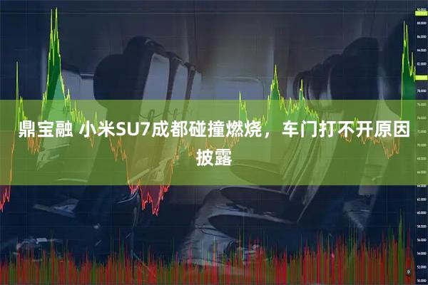 鼎宝融 小米SU7成都碰撞燃烧，车门打不开原因披露